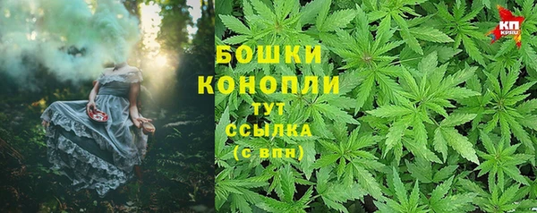 эйфоретик Михайлов