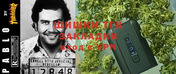 эйфоретик Михайлов