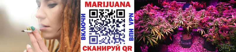 где можно купить   Невель  МАРИХУАНА SATIVA & INDICA 
